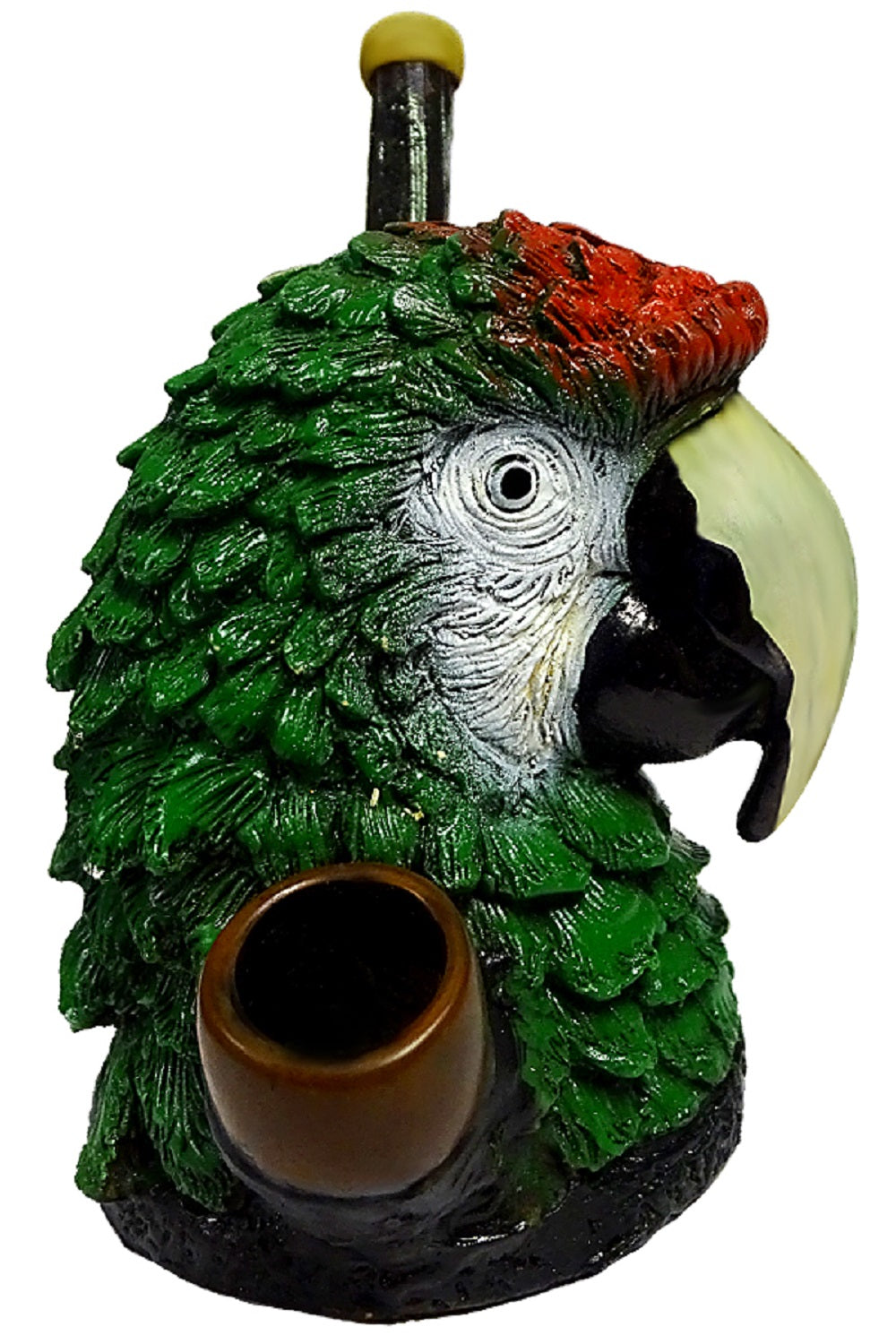 Buffon's Macaw Pipe