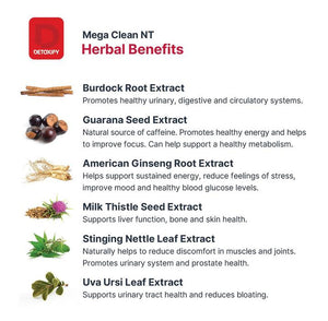DETOXIFY Mega Clean NT Herbal Cleanse