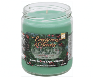 Evergreen & Berries Smoke Odor Candle